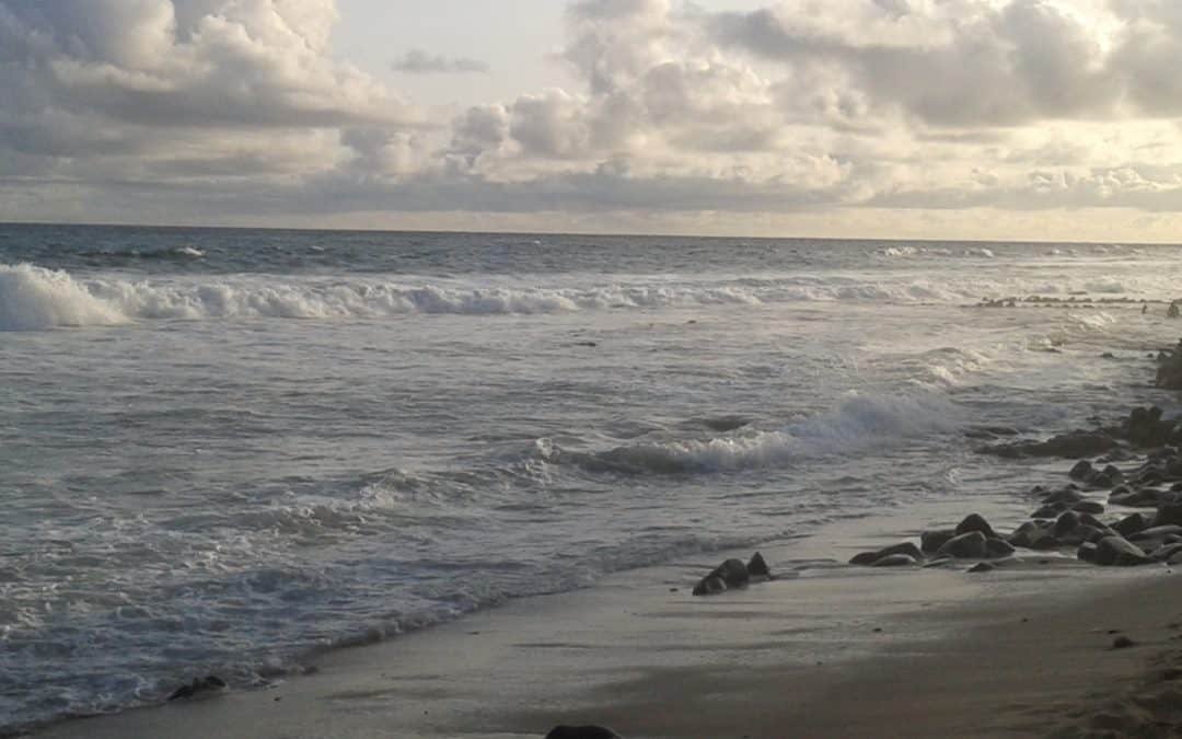 L’Afrique, berceau de l’humanité, terreau de l’humanisme éternel et universel