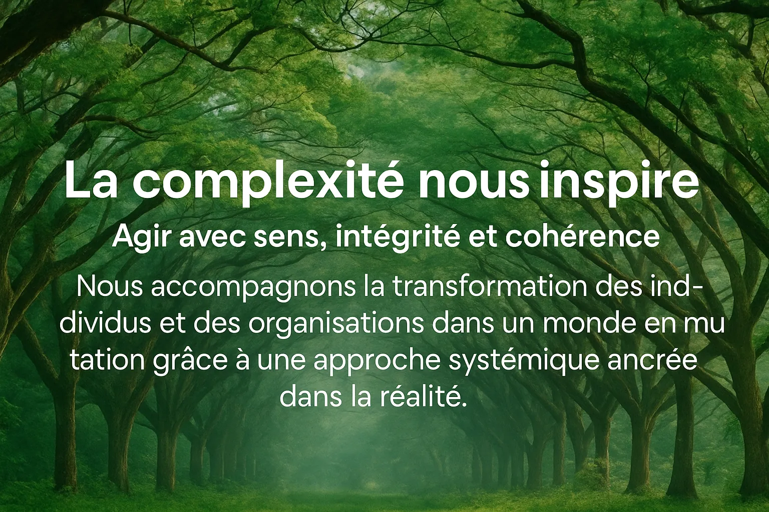 Nous accompagnons la transformation des individus et des organisations dans un monde en mutation grâce à une approche systémique ancrée dans la réalité.